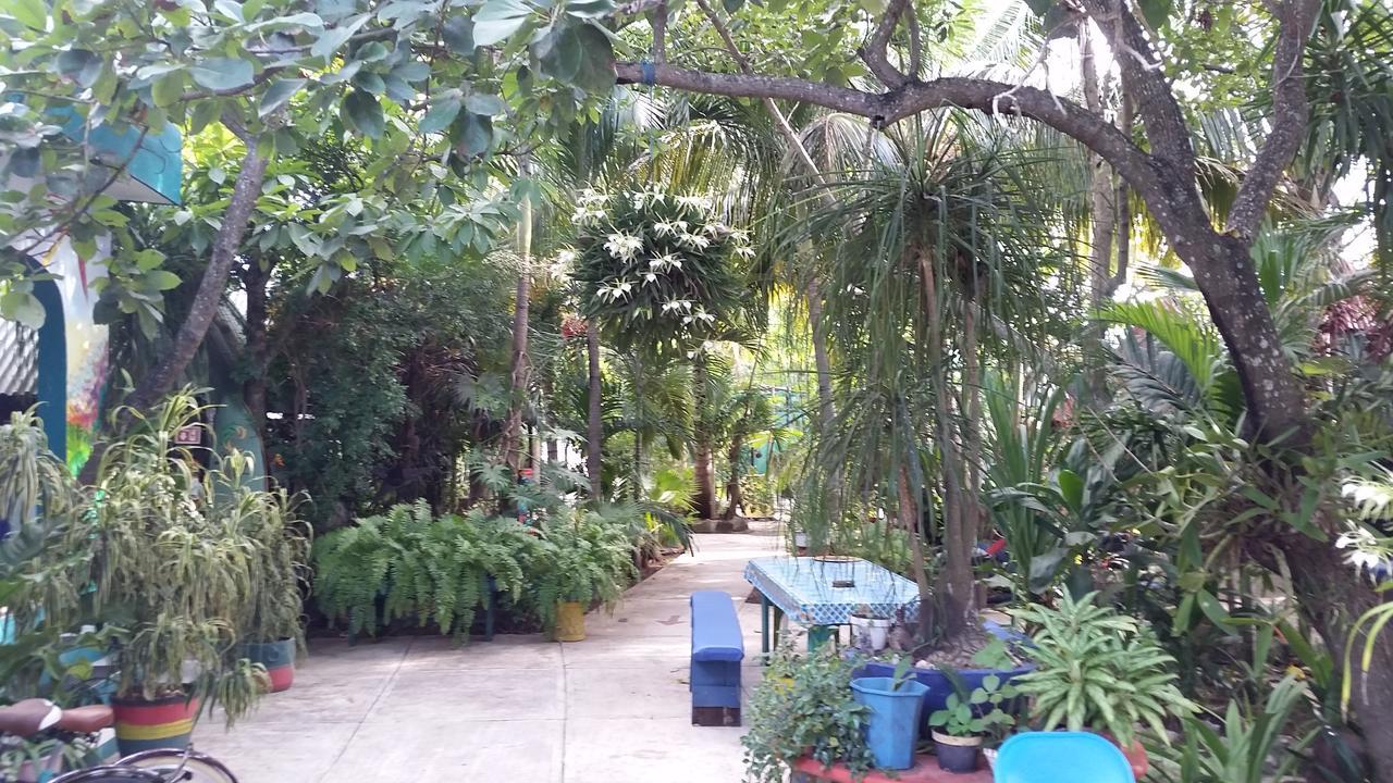 Auberge de jeunesse Rancho Tranquilo à Tulum Extérieur photo